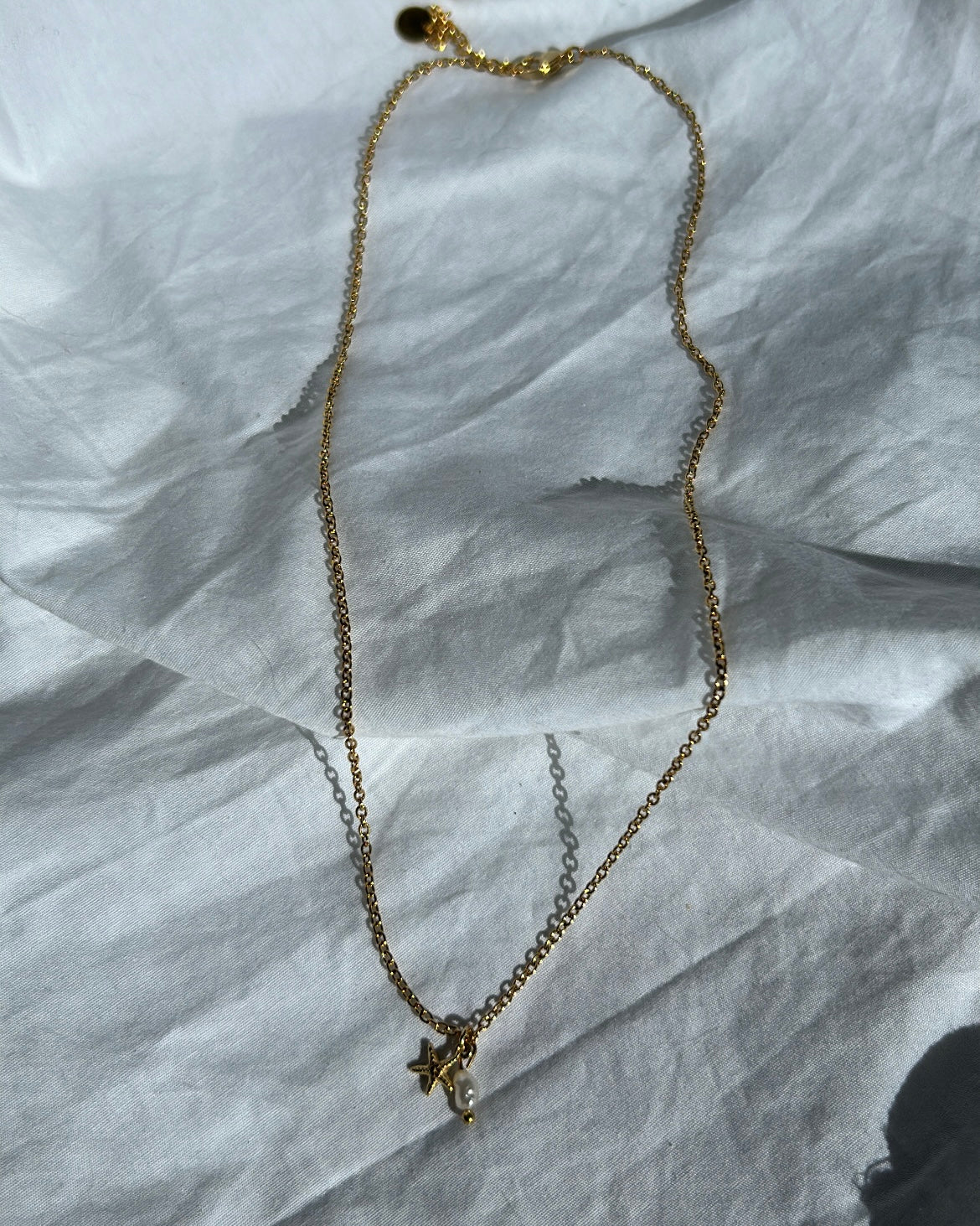 NAVY necklace | Money